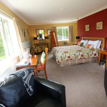 Kauri Point Luxury Bed & Breakfast, 怀拉基 — 照片 4