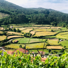 Casa em Aldeia rural -Circuito Aldeias de Portugal, 蓬蒂迪利马 — 照片 5