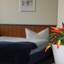 Hotel Rahserhof, Viersen — photo 4