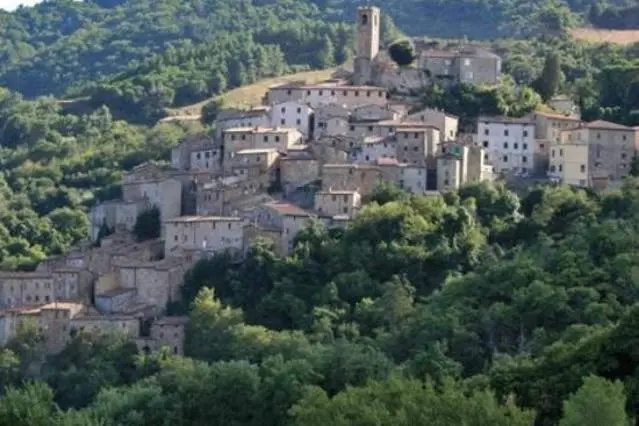 Via Cerreto Apartment, Castelnuovo di Val di Cecina — photo 1