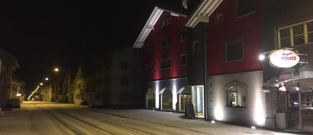 Hotel Metzgerei Schatz, Хоэнемс — фото 1