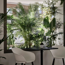 Bond Smart Living Suites, 哈兰德里 — 照片 2