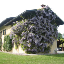 Antica Cascina Del Medico, Муццано — фото 5