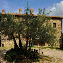 La Casa di Teresa B&B, Monte Castello di Vibio — photo 2