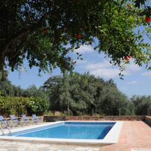 Finca La Morera, Ароче — фото 5