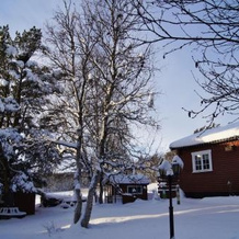 Bustad Hyttetun, Nord-Fron — photo 5