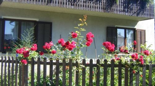 Guest House Kmetija, Ribnica — photo 1