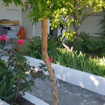 Apartment Srsen, 库契什泰 — 照片 4