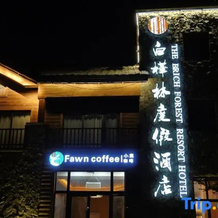 The Brich Forest Resort Hotel, 阿尔泰 — 照片 5