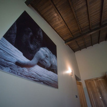 Wirdana Spa & Villas, Hapugala — photo 3