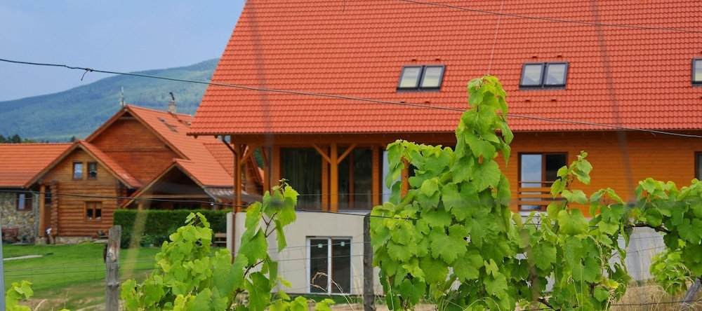 Agroturystyka Dom z Bali, 卡尔帕奇 — 照片 1