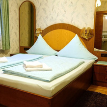 Hotel Blautannen, Altlussheim — photo 3
