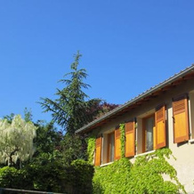 Gîte le Chêne du Py, Villie-Morgon — photo 5