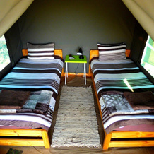 Thorn Tree Bush Camp, 库里南 — 照片 2