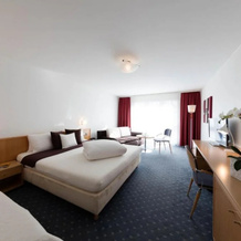 Hotel Hv Fli, Altdorf — photo 2