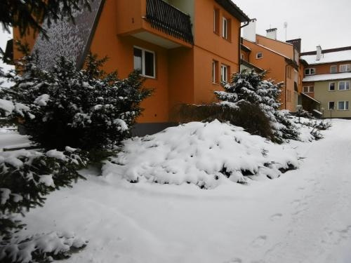 Apartament U Janusza, Новы Тарг — фото 1