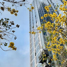 Shenzhen Zhenxin Luxury Apartment, Шэньчжэнь — фото 4