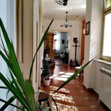 Šomin Lagum B&B, Sremski Karlovci — photo 3