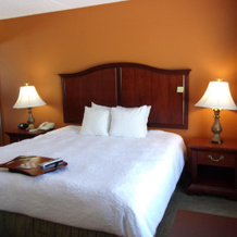 Hampton Inn & Suites Bolingbrook, Болингбрук — фото 4