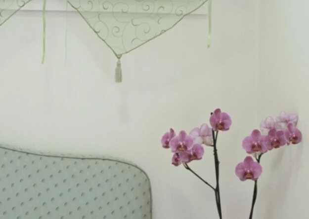 Appartamento Il Fiore - Rebomaholidays, Tignale — photo 1