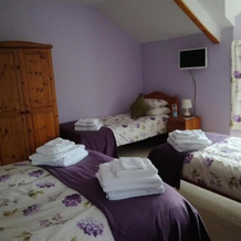 Ty Newydd Bed and Breakfast, 兰加多格 — 照片 3