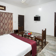 Narayan Niwas Resort, Udaipur — photo 4
