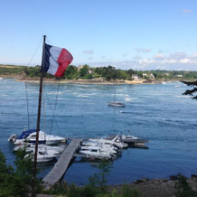 Jersey Lillie, Jouvente — photo 5