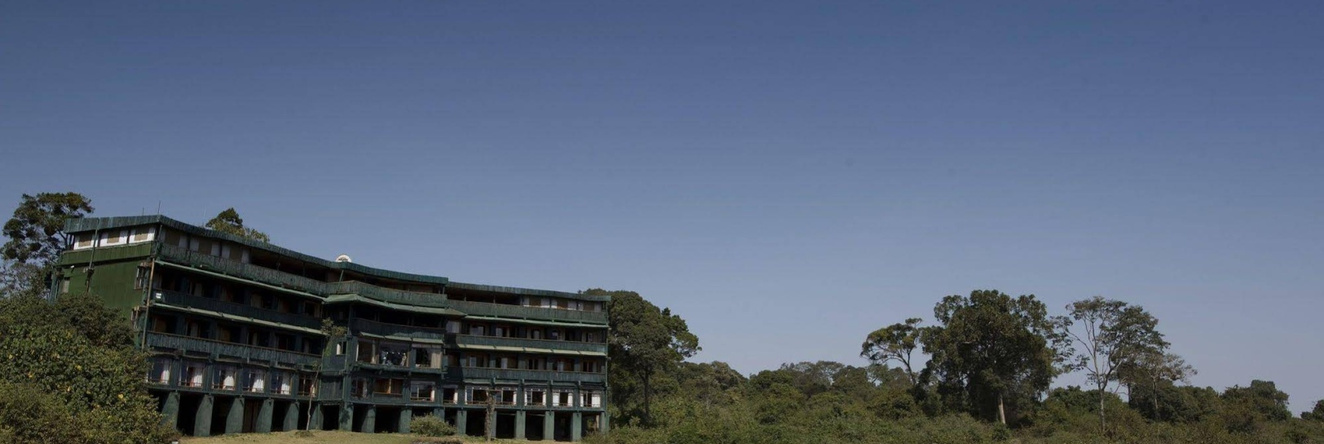 Serena Mountain Lodge, Национальный Парк Маунт-Кения — фото 1