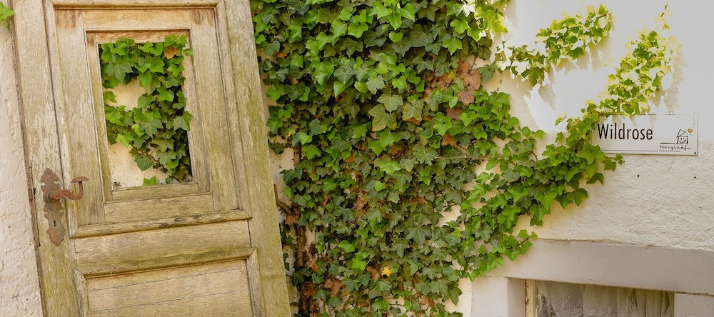 Nengshof - Haus Ehrenpreis, Wissmannsdorf — photo 1
