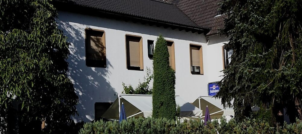 Hotel Blautannen, Altlussheim — photo 1