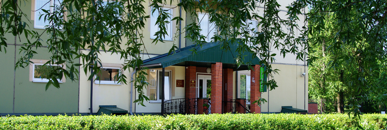 Ingriya Hotel, Kolpino — photo 1