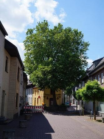 Ferienwohnung Haagedoernchen, Nettetal — photo 1