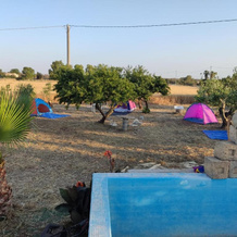 Aree tende presso la casa in campagna di Ottavia, 阿莱齐奥 — 照片 2
