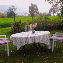 Ferienwohnung Gita, Ohningen — photo 4