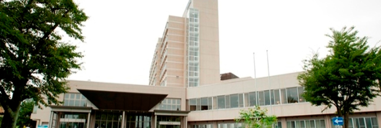 Kamenoi Hotel Ichinoseki, Ichinoseki — photo 1