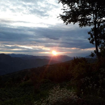 Trimurti Pine Valley Resort, Tatapani — photo 2