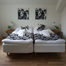 Vita Huset Hotell B&B Sölvesborg, Солвесборг — фото 5
