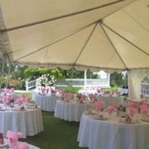 Wild Rose Manor Bed and Breakfast, 安大略 — 照片 3