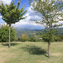 La Ginestra, Селлано — фото 2