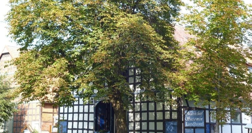 Hotel & Restaurant Markthof Satemin, 吕肖 — 照片 1