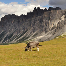 Appartamenti Codàn, San Vito di Cadore — photo 5