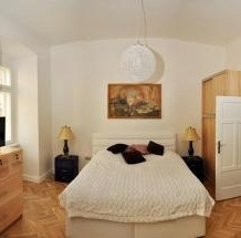 Luxury Apartment Novobranska, 布尔诺 — 照片 3