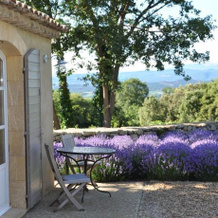 Une Sieste En Luberon, Боннье — фото 4