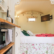 Woodlands Retreat Shepherd's Hut, Брундиш — фото 2
