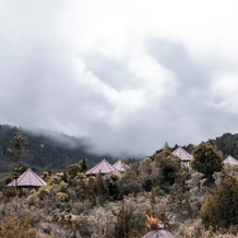 Hotel Baliem Valley Resort, 瓦梅纳 — 照片 5