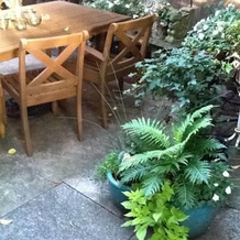 Rousseau's Garden, 圣安塞尔莫 — 照片 3
