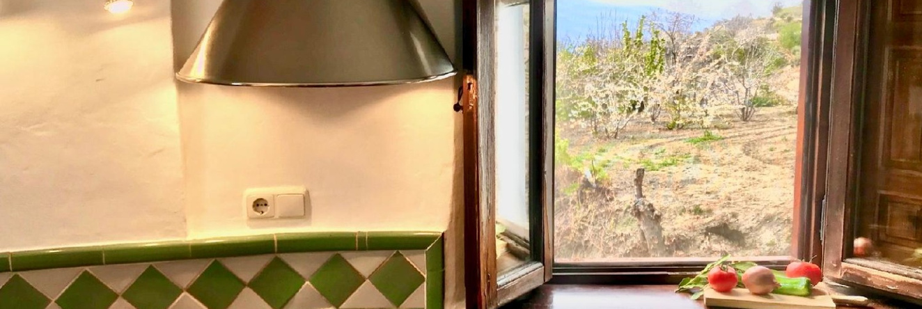 La Oveja Verde de La Alpujarra Apartamentos, 皮特雷斯 — 照片 1