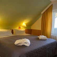 Werrapark Hotel Frankenblick, 马瑟贝格 — 照片 3