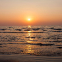 Averina Beach, Южный Гоа — фото 2