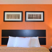 Enfirld Inn And Suites Bradley Airport, Энфилд — фото 4
